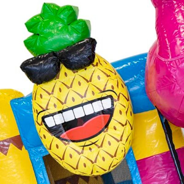 Mini Bounce Flamingo 5